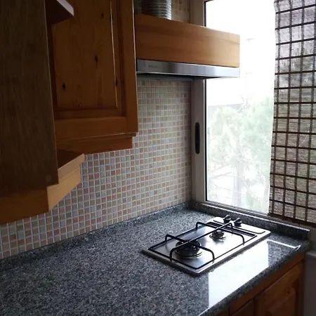 Apartman House In Plepa *